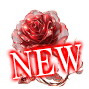 new